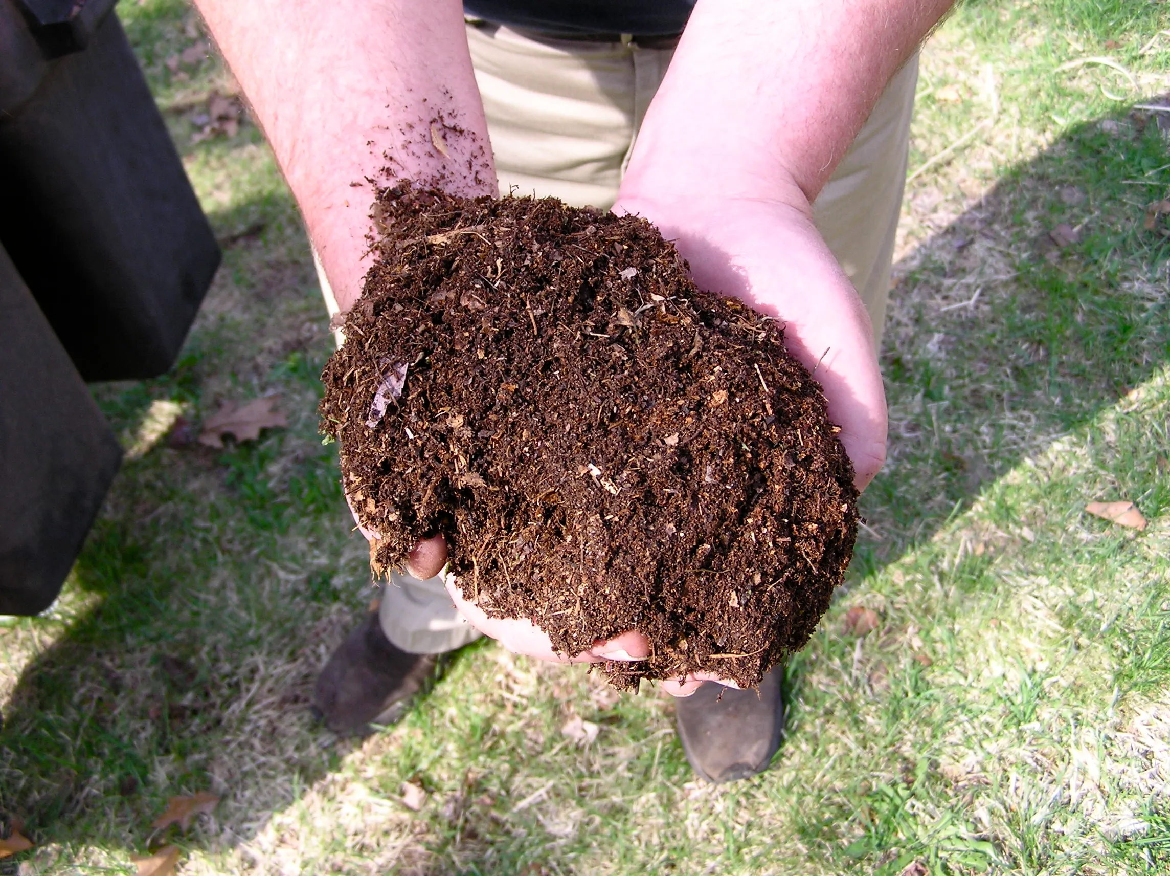 compost dirtwikipedia