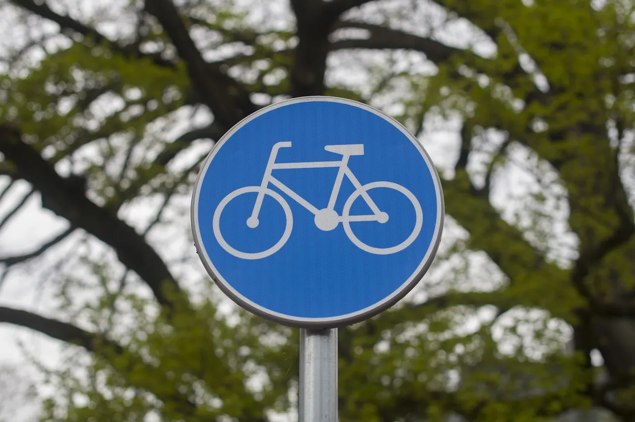 cycle path 4167412 1280