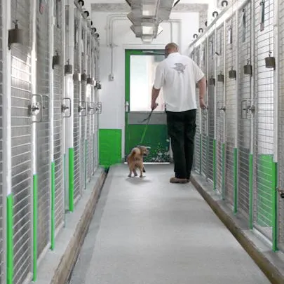 dierentehuis