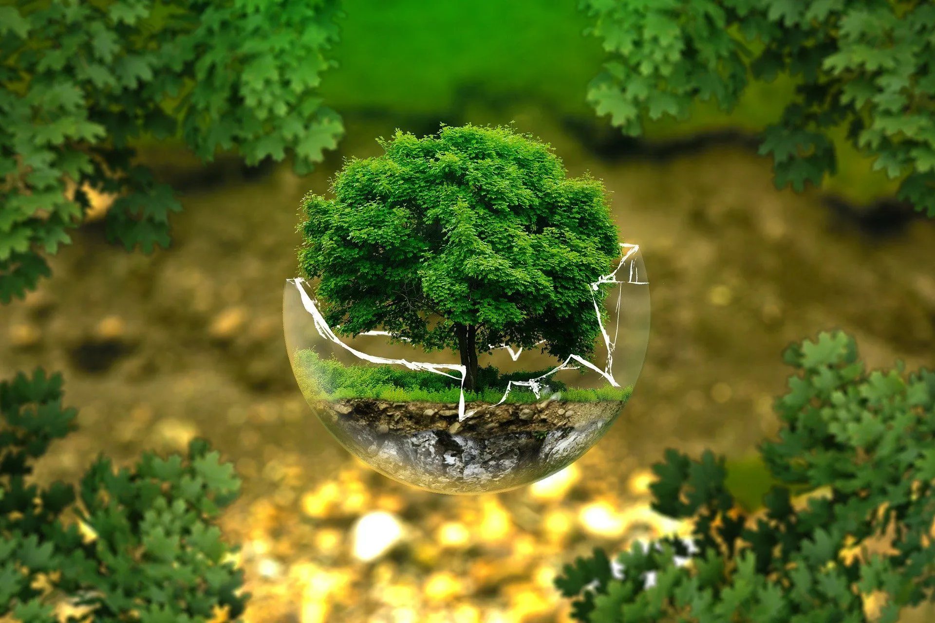 environmental protection 326923 1920
