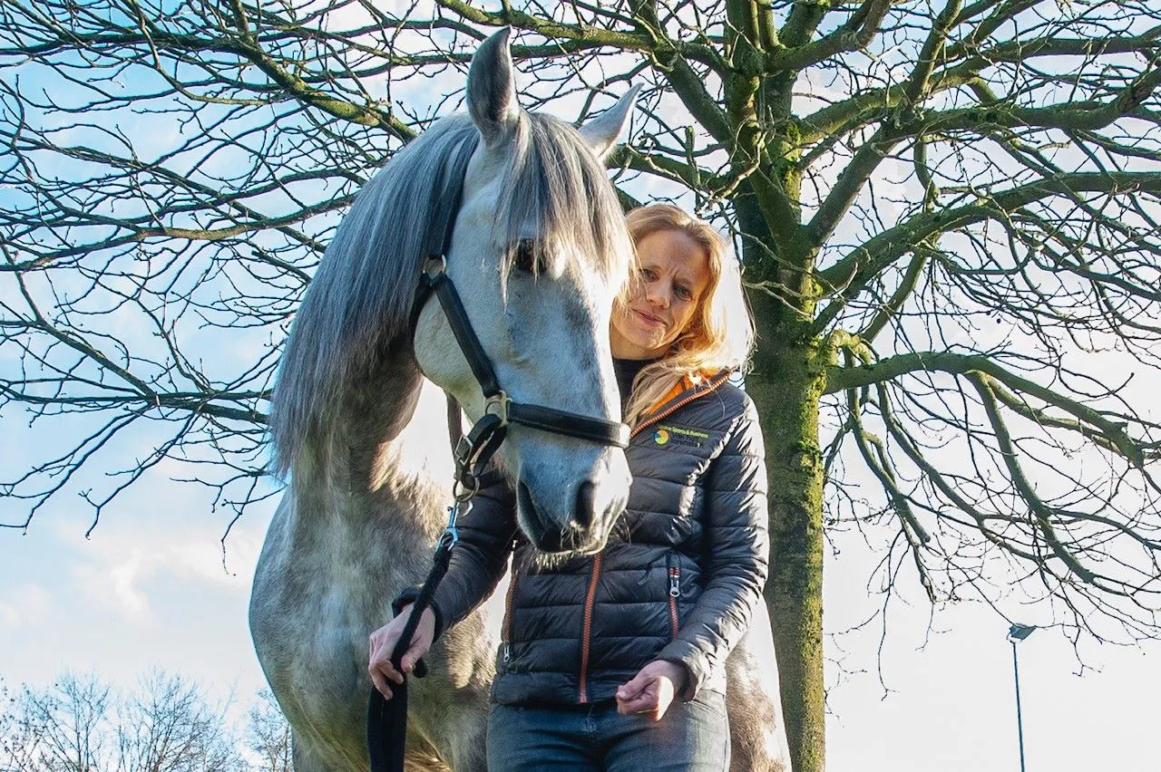 hvhlpaardenwelzijninga wolfram met paard marengo