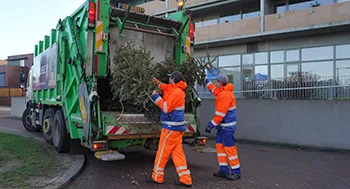 kerstbomenprezo