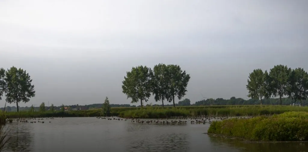 lingezegenivnrijnwaalnatuurwandeling in landschapspark lingezegen