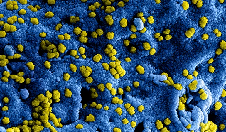 nieuw coronavirus in china