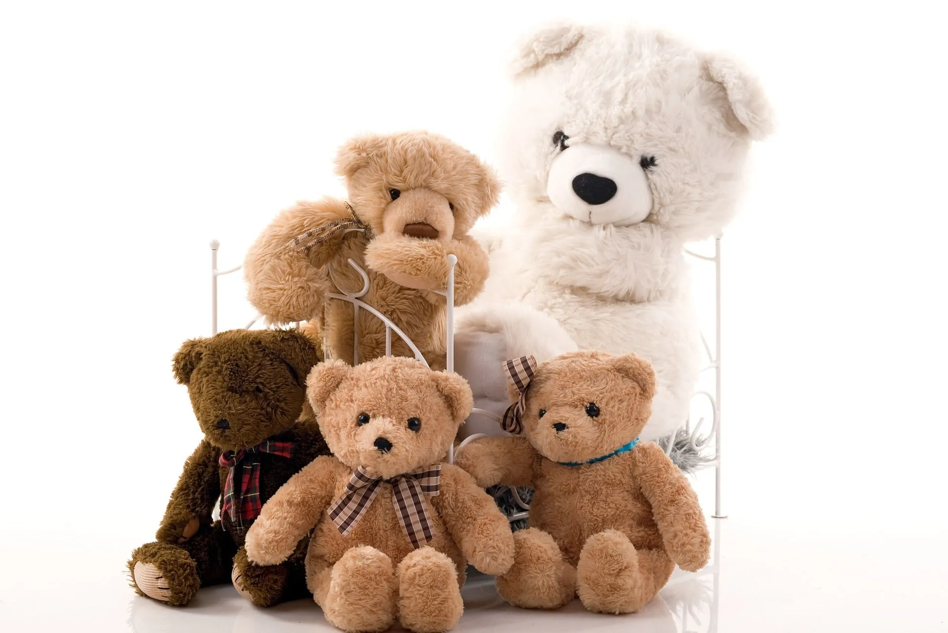 teddyberen pixabay