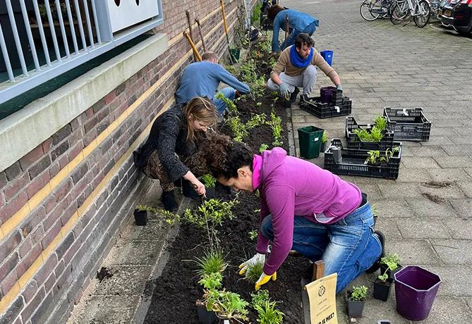 tegelwippen rosendaalsestraat arnhem m