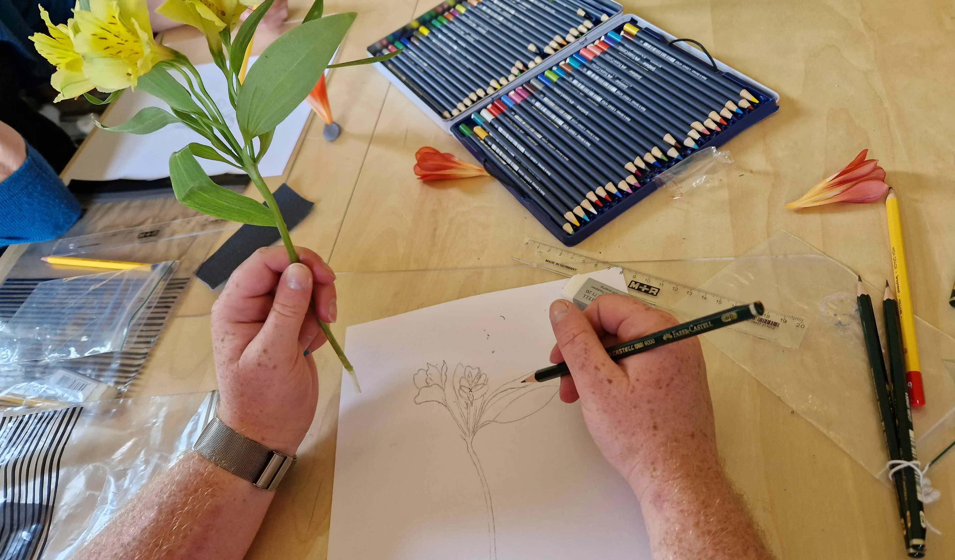 knnvarnhembotanisch tekenen1