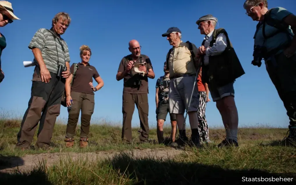 stadsbosbeheerexcursie hoe wolven en schapen naast elkaar leven op de midden veluwe