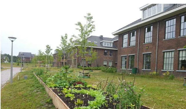 Vergroenen.Arnhemse subsidie om te vergroenen vanwege succes verlengd