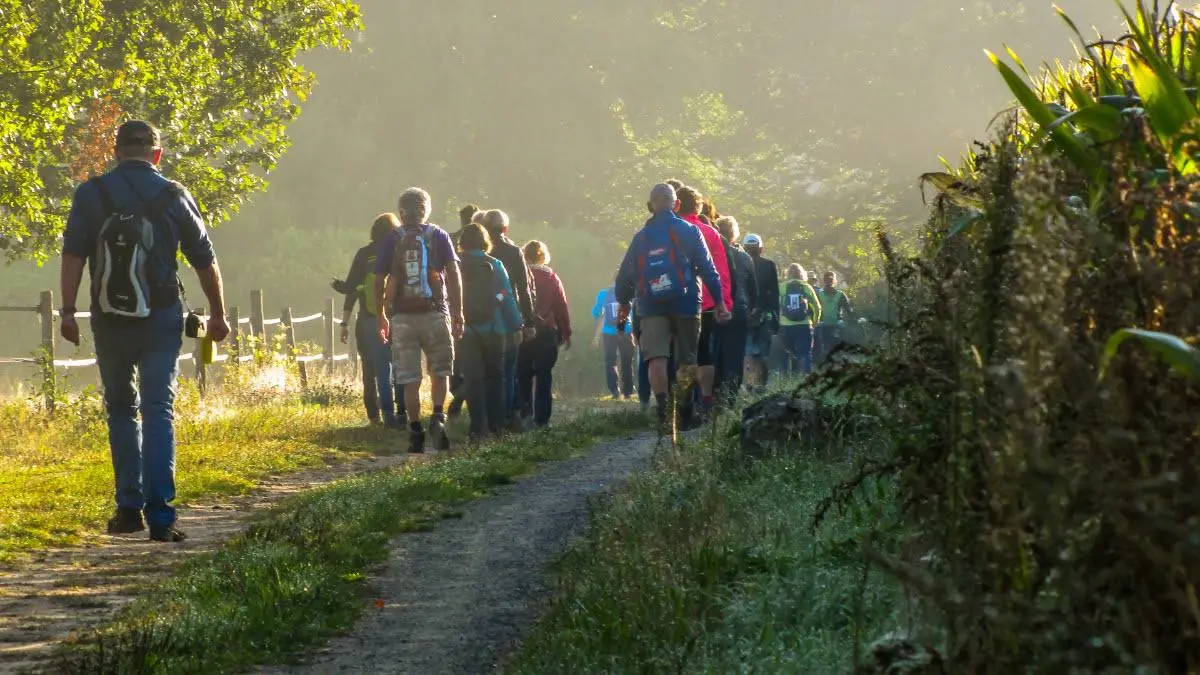 Zuidlaren Gunzeloop wandeltocht
