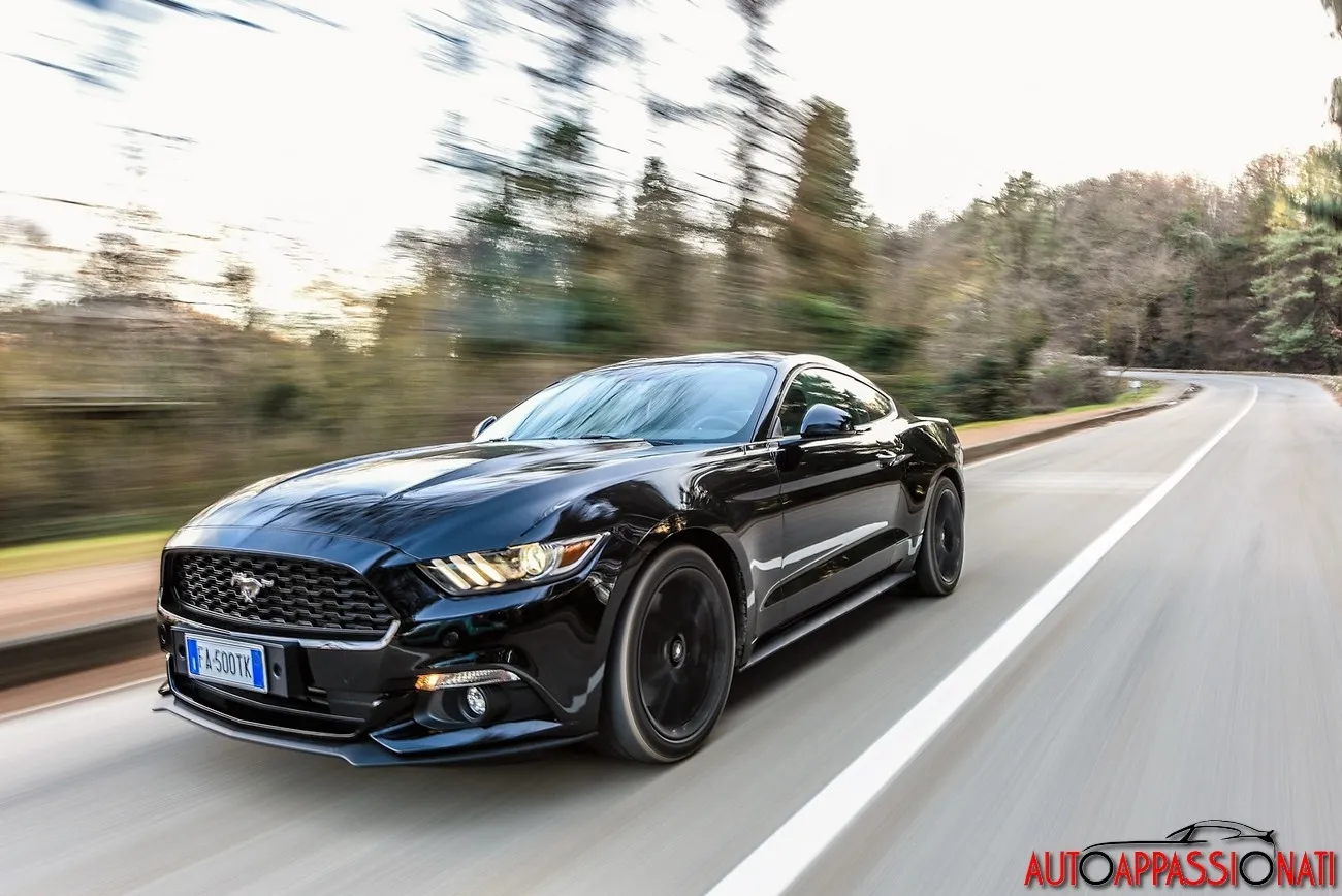 4e6fcf62696f1c008b352d90251baf3f