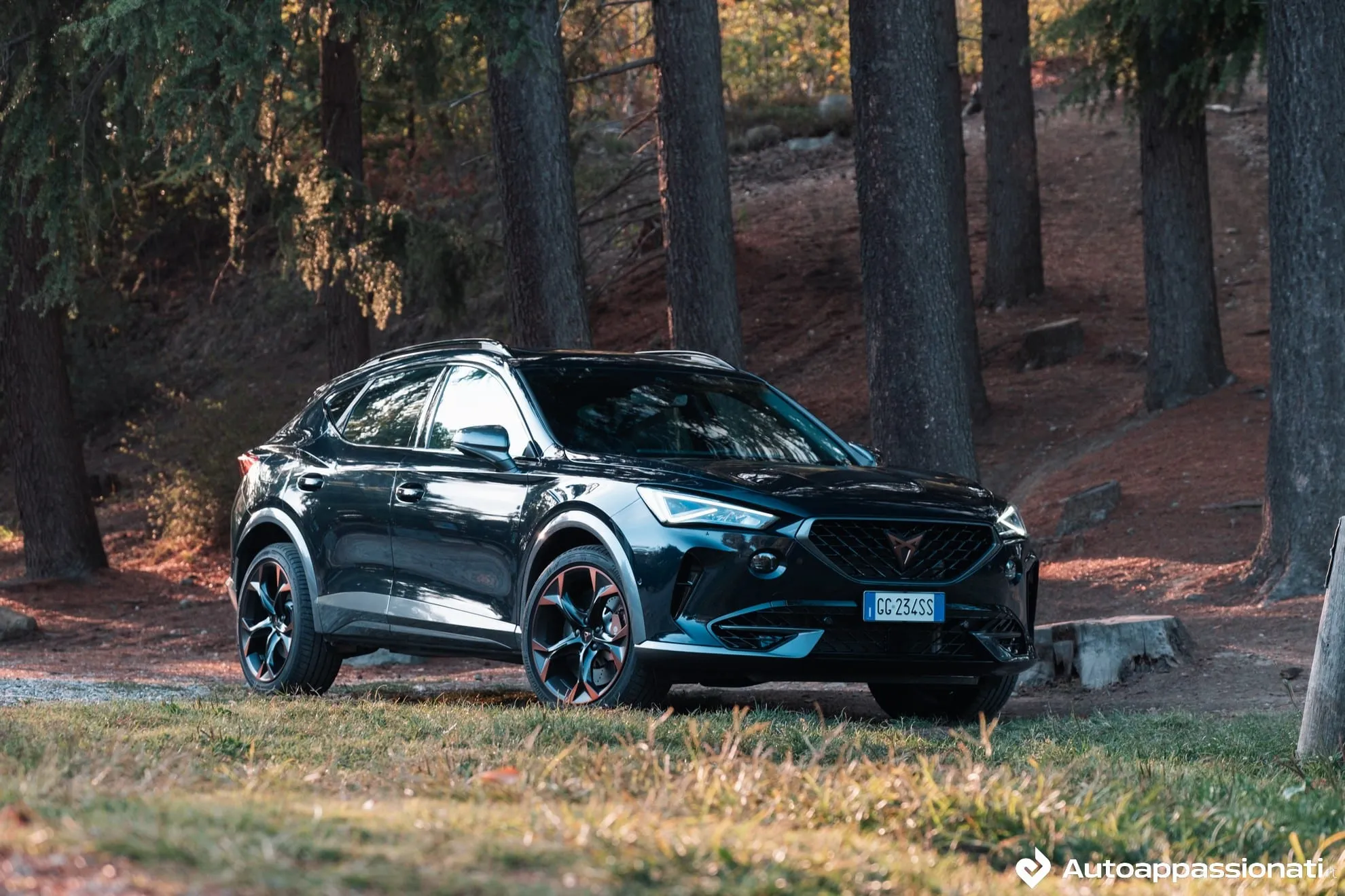 cupra formentor vz 13