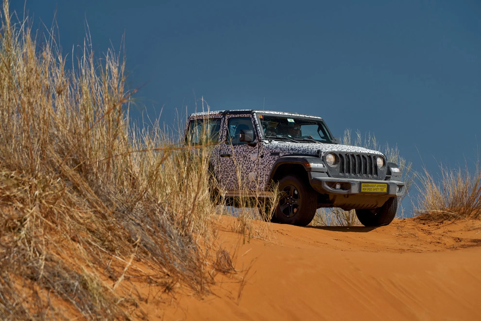 fca whats behind sudafrica 36