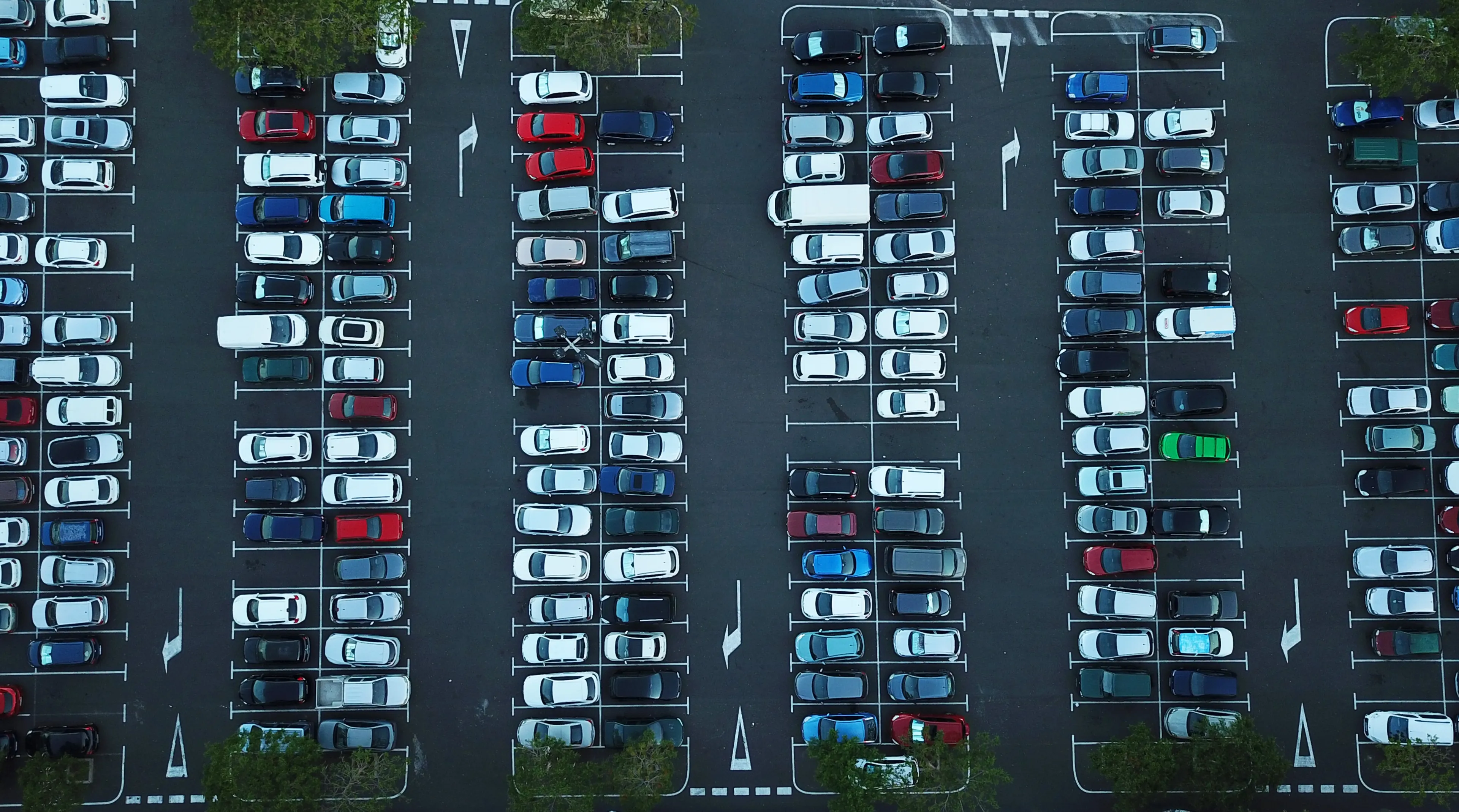 incentivi auto diritti autoappassionati