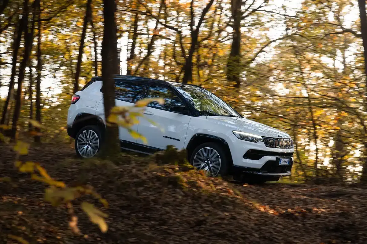jeep compas 2024 albero