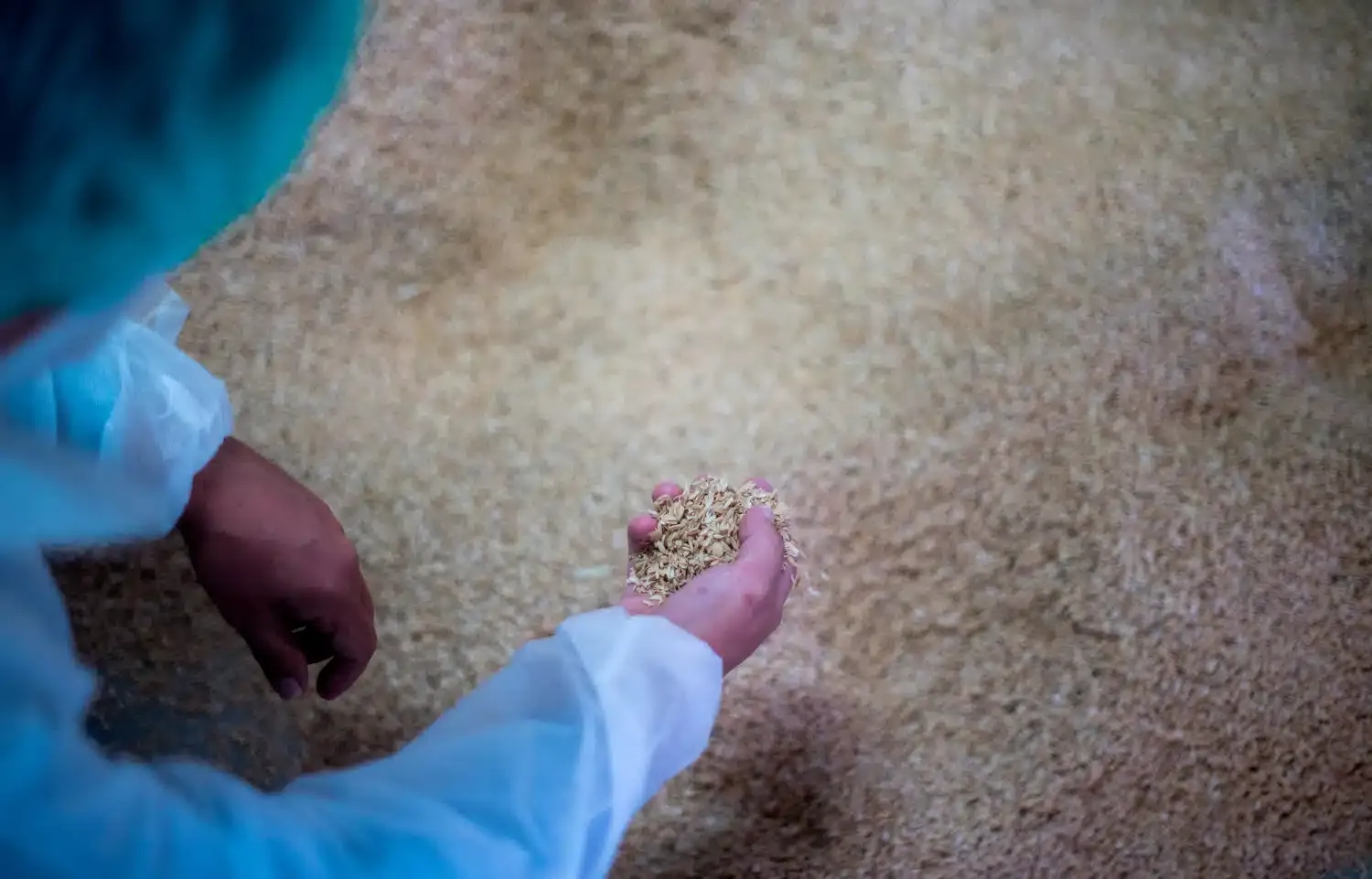 media from the fields to the production line the seat arona 3