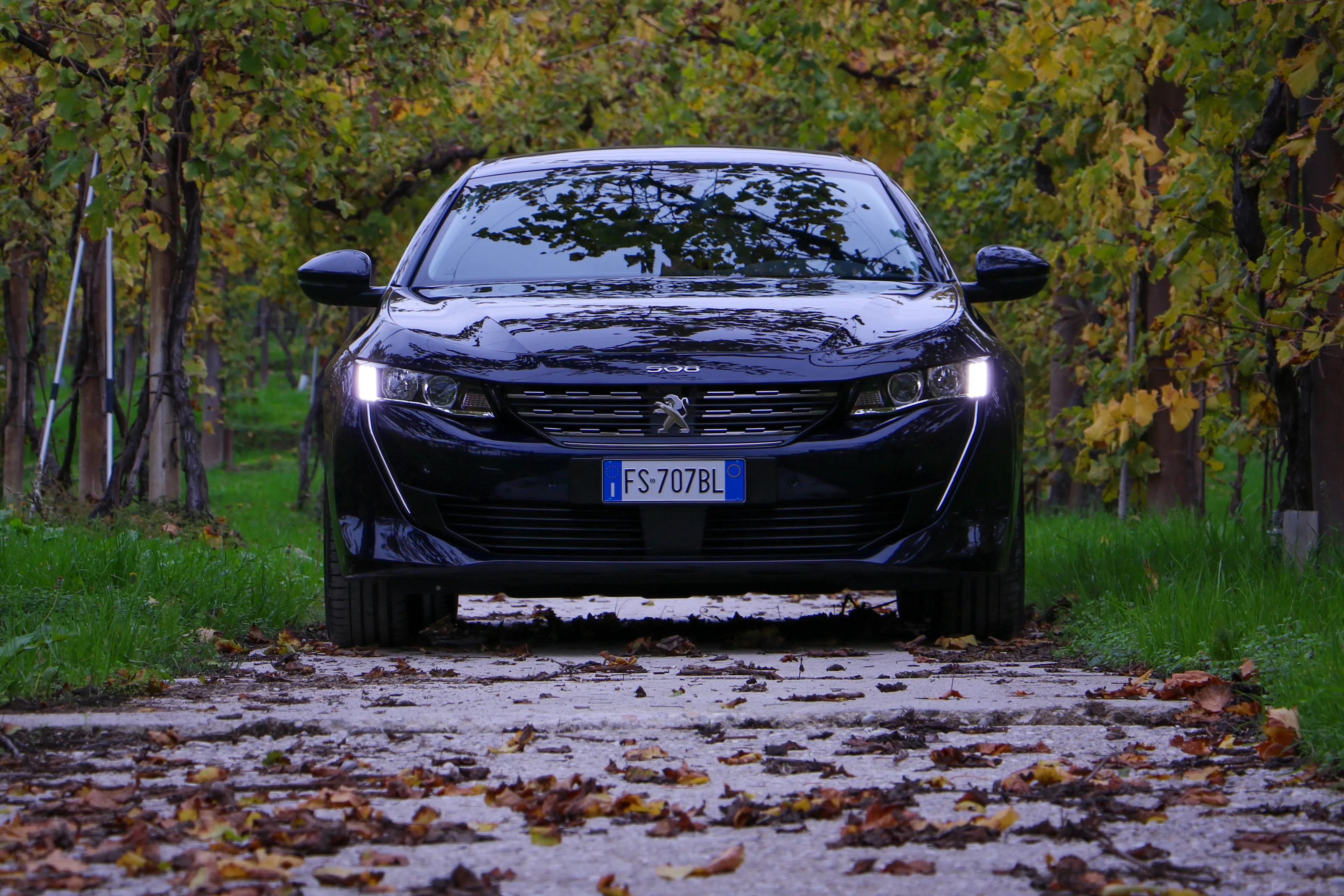 percorsi italiani veneto 51 1