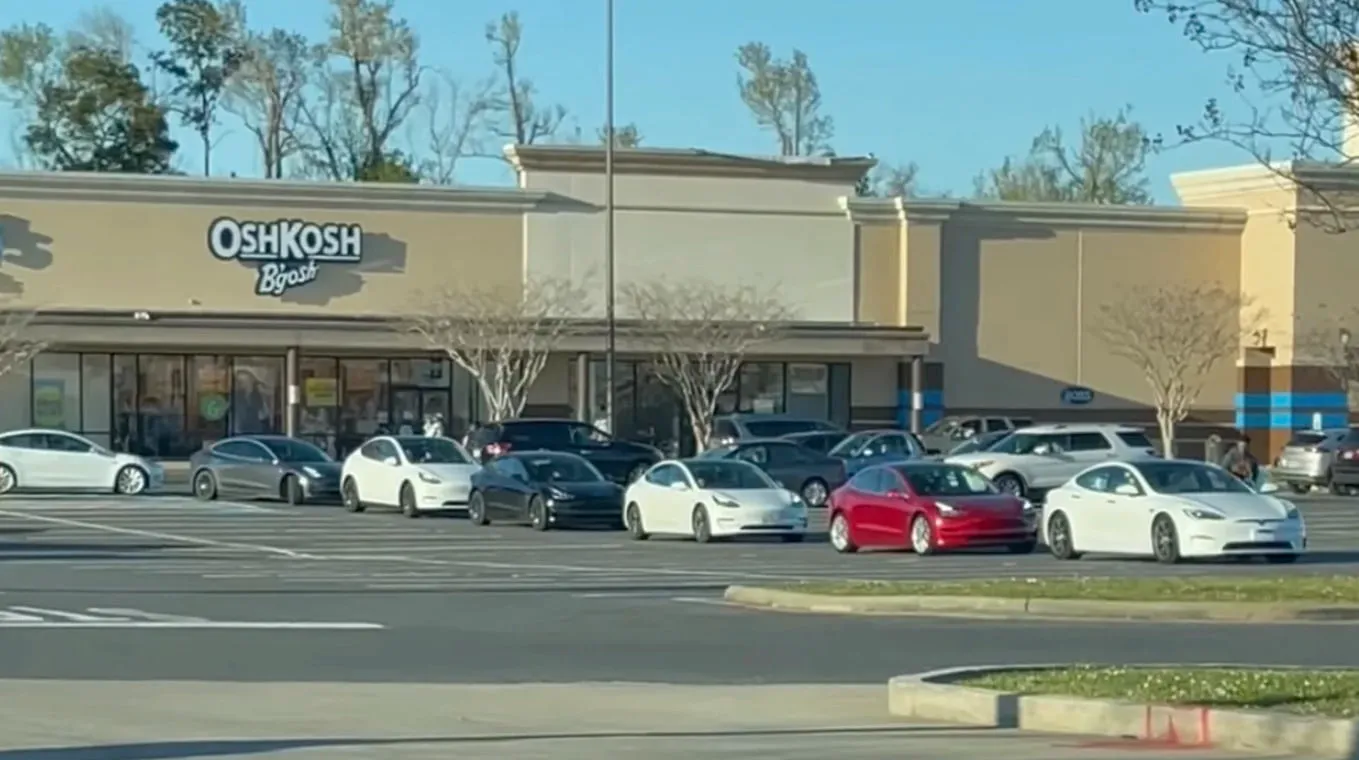 quattordici tesla in coda