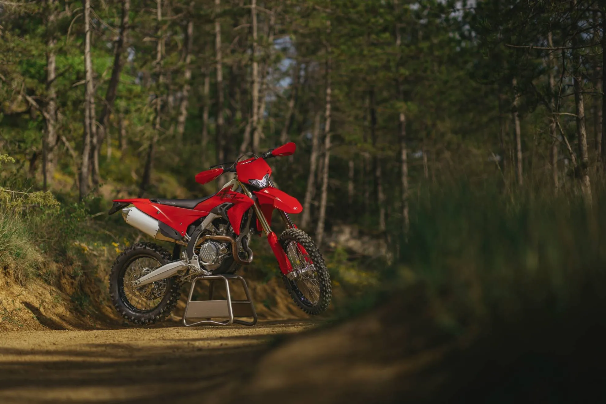 Ducati DESMO450
