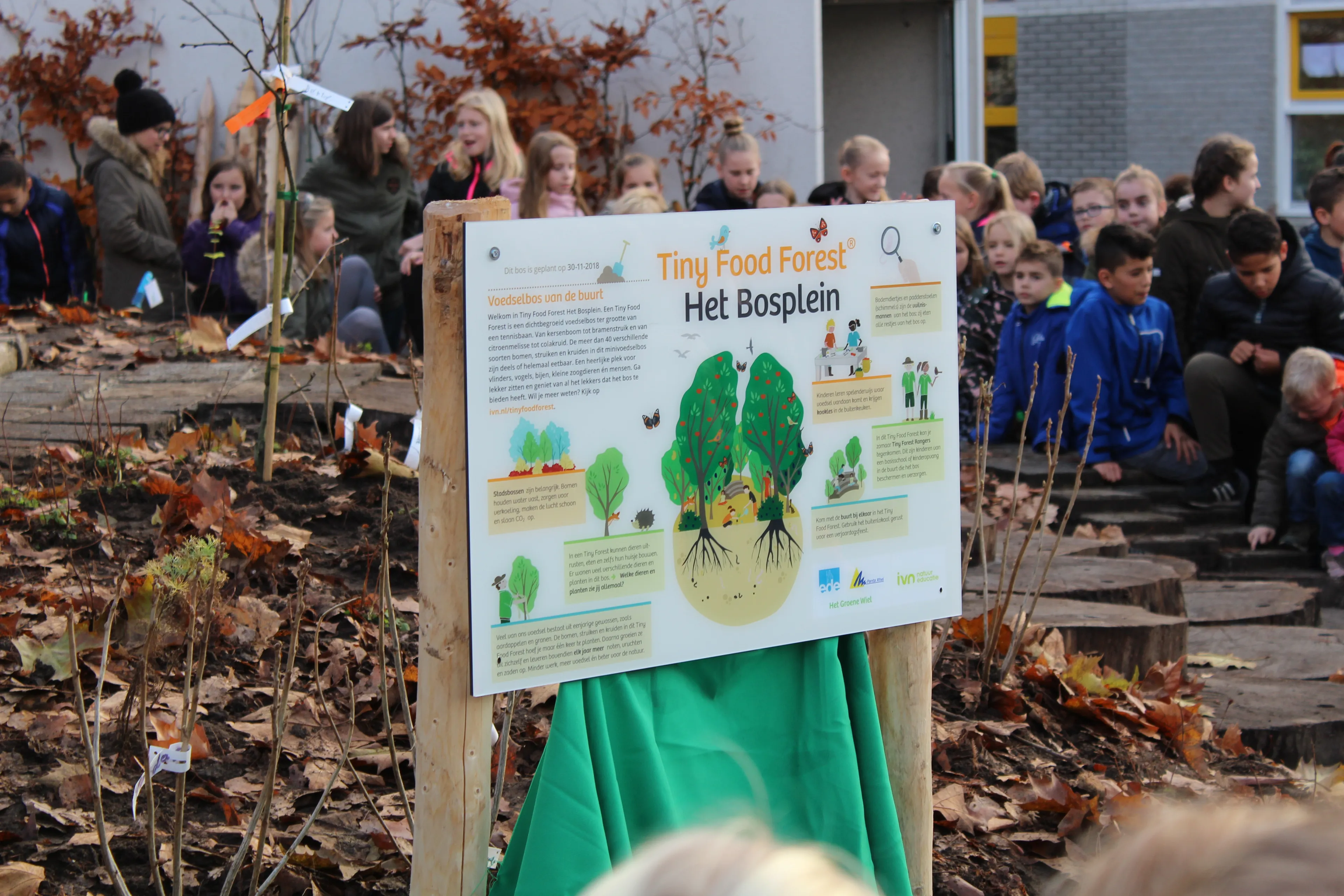 het bosplein het eerste tiny food forest in nederland