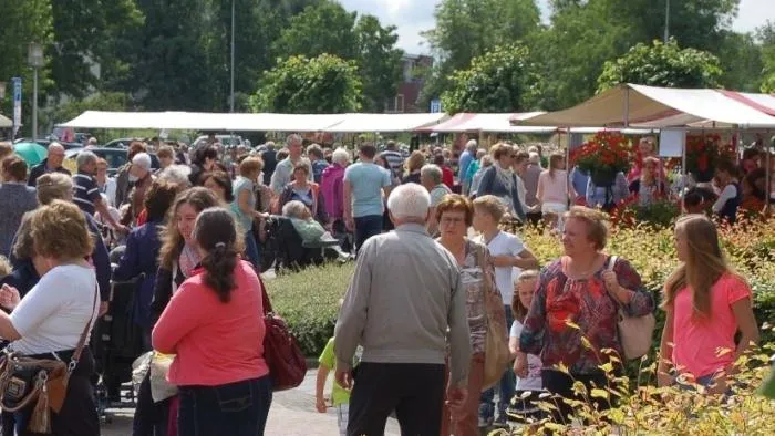 norschoten