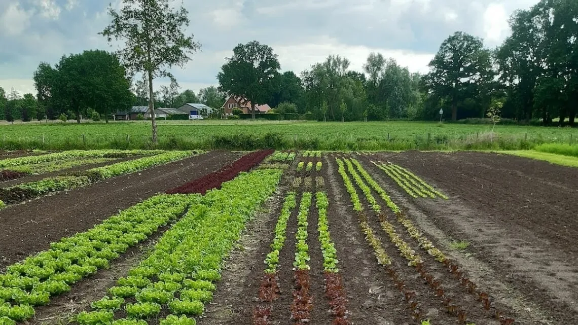 open dag tuin