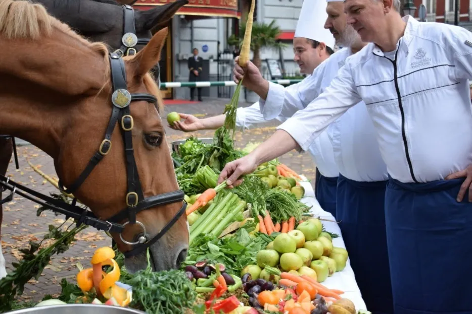 paard