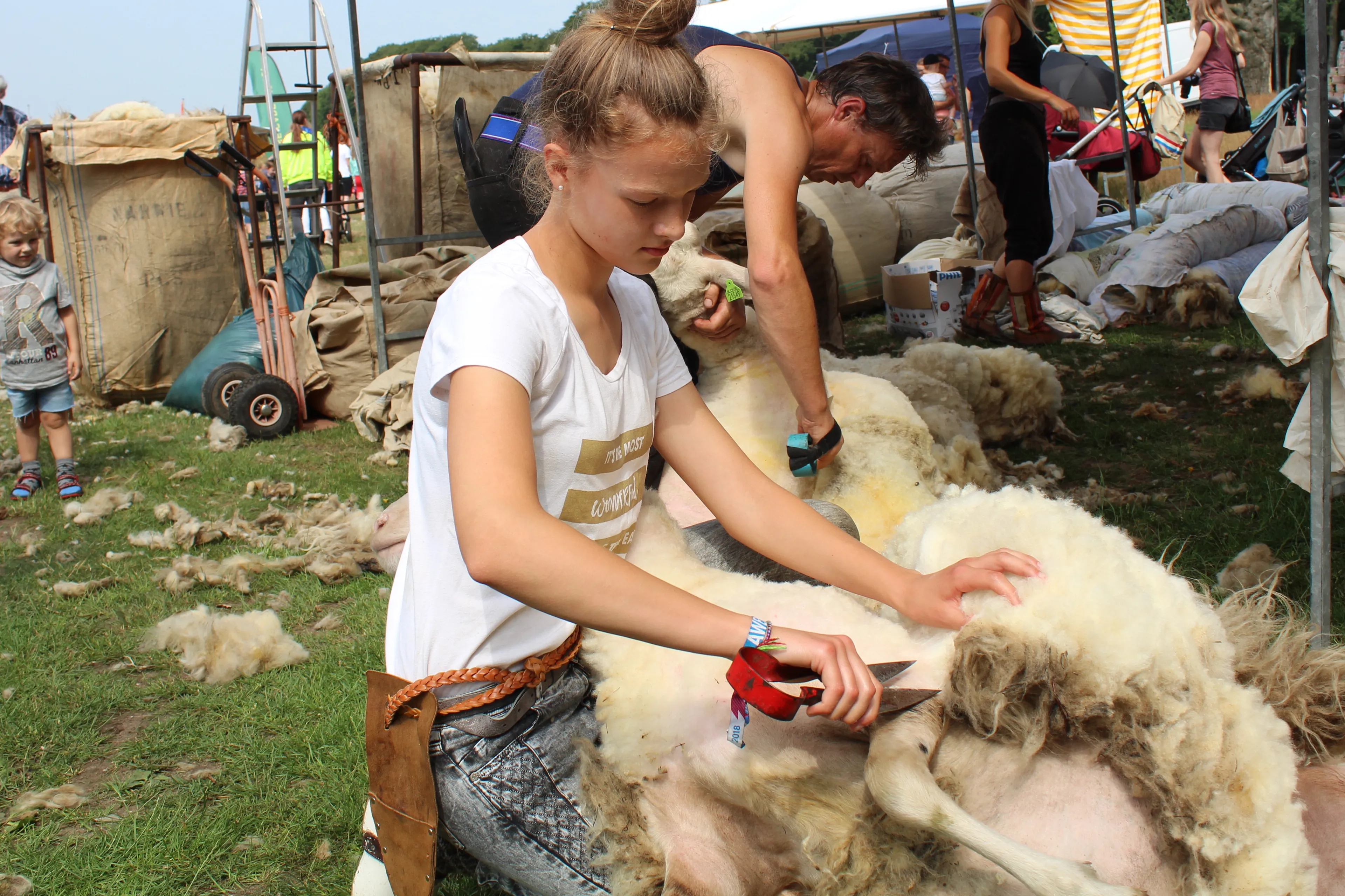 schaap scheeren ede 2018 chris ouboter