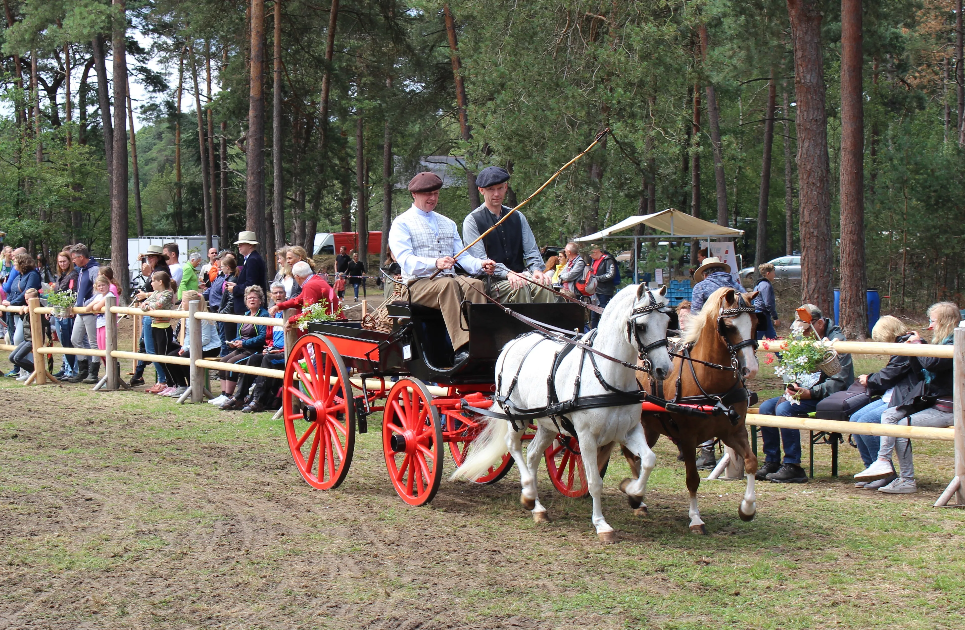 wagen weekend van het paard chris ouboter 2019