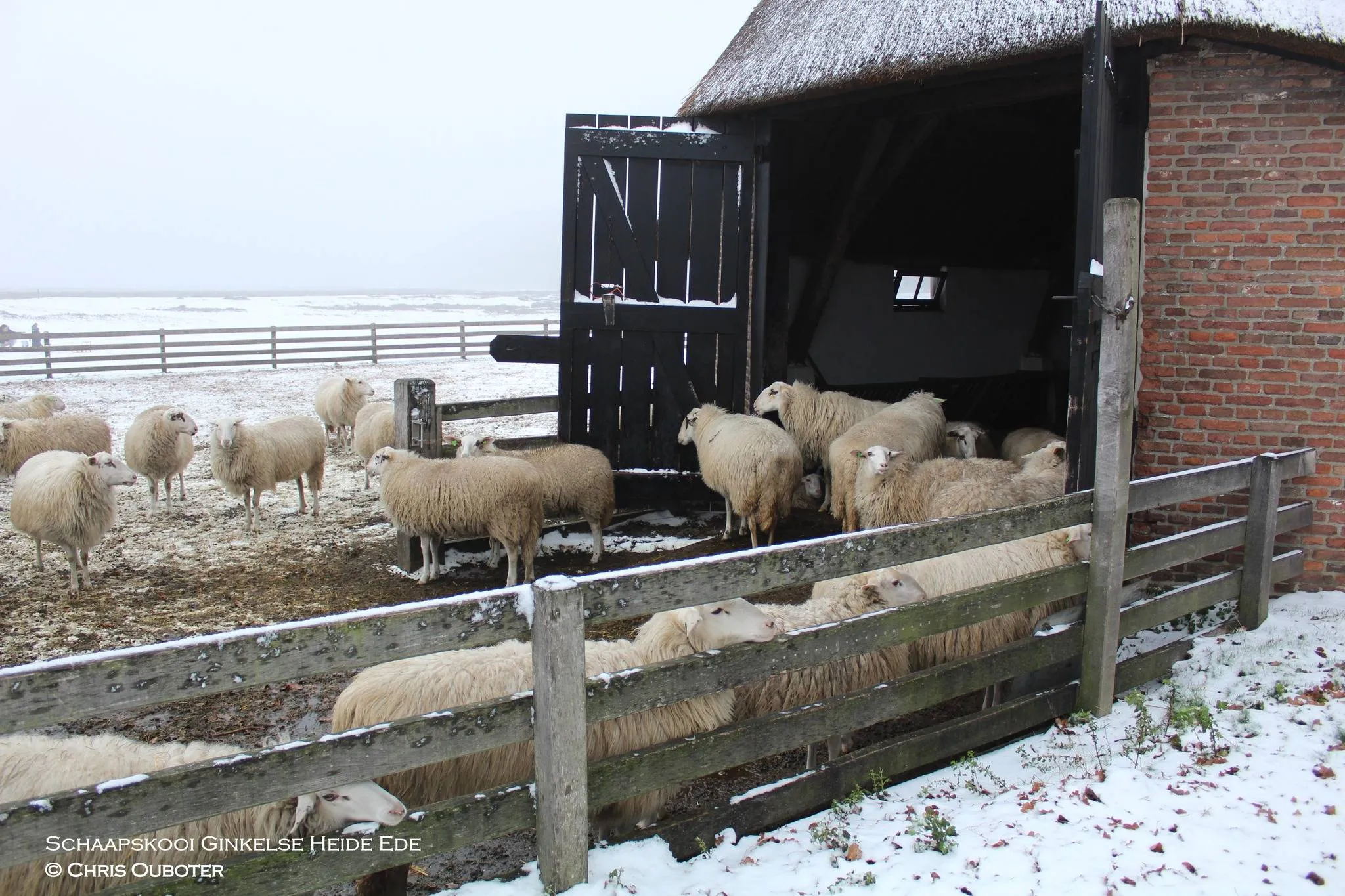 472480845_3566547556971751_4737224392279531951_n