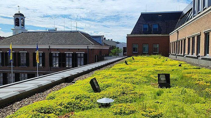 csm_Artikel_2_Groendak-Gemeentehuis-2__1__830a999f80