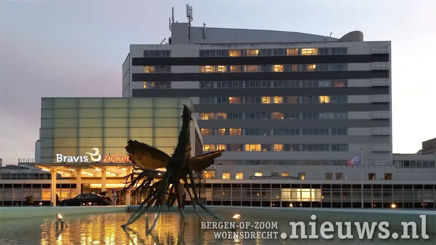 20221110 jkr boz bravis 001b