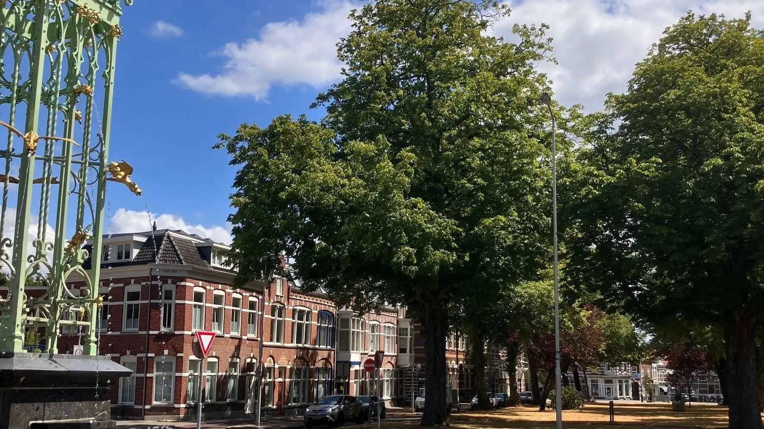 Bergen op zoom foto boom
