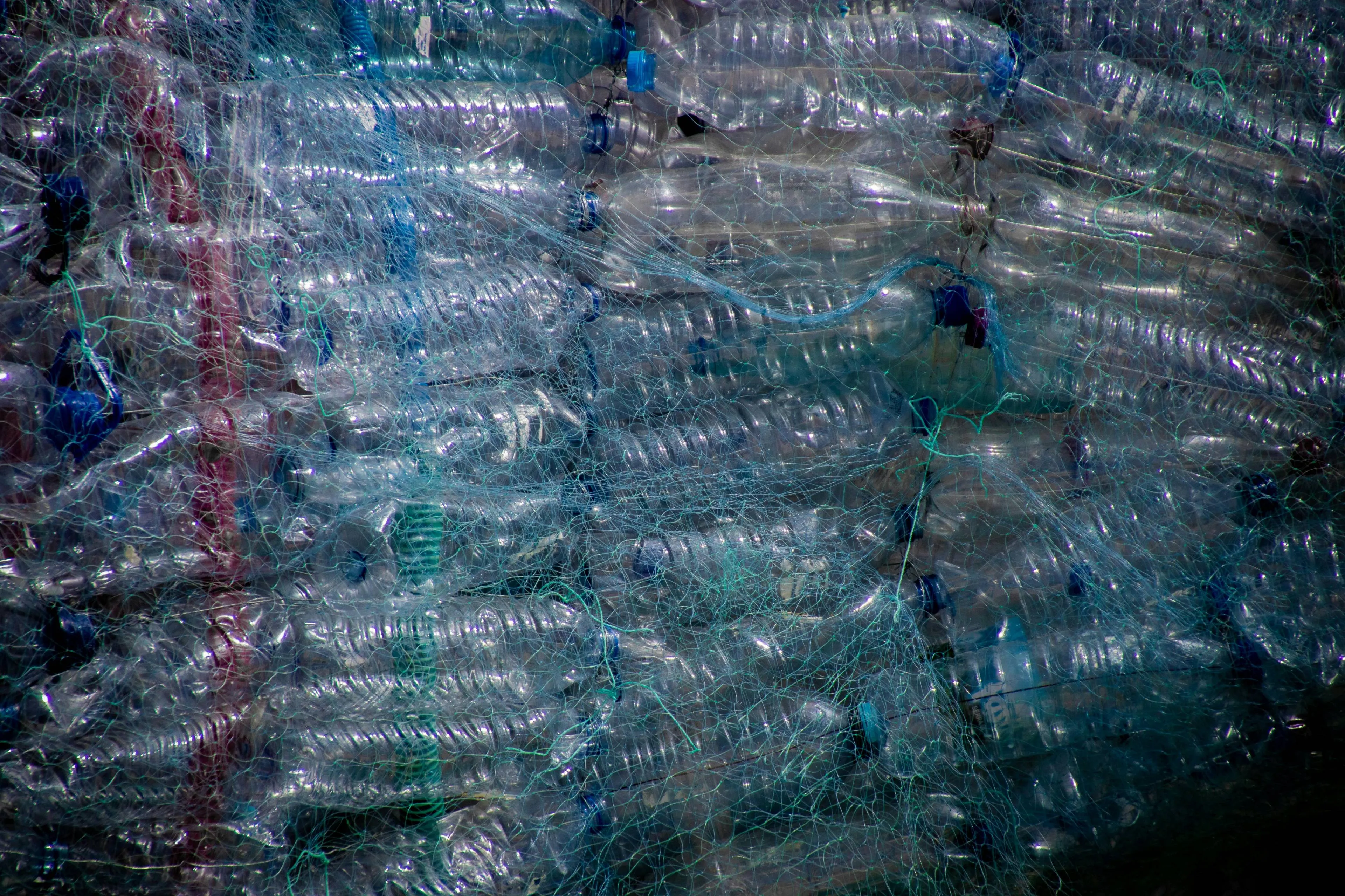 pexels magda ehlers pexels 2602537