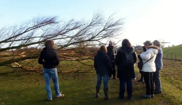 fotodijkm2015 02 8singleswandeltocht
