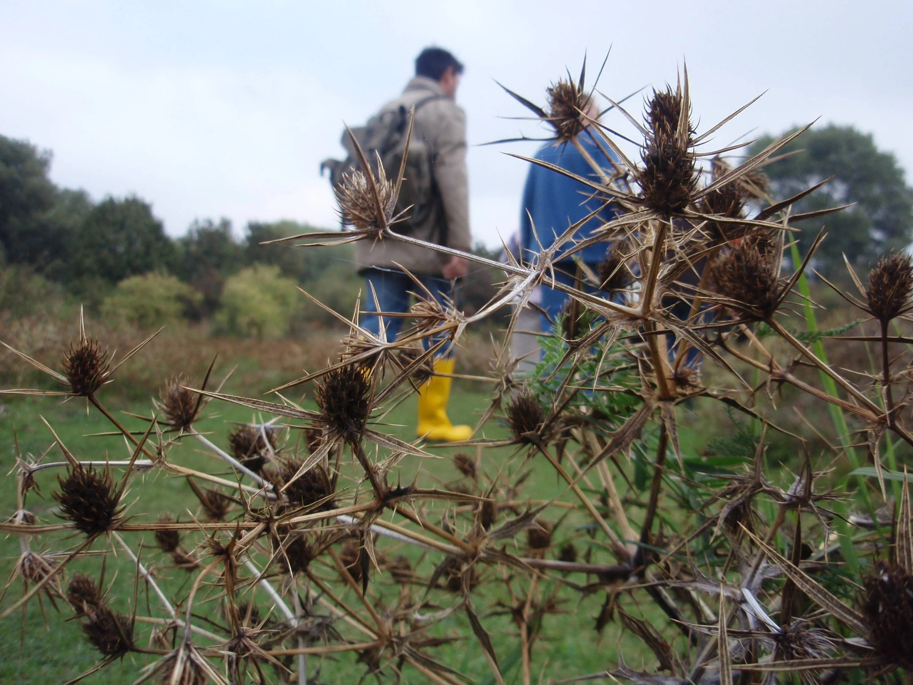 fotodijkmagazijn2016 06 08biowalkingmotiveet