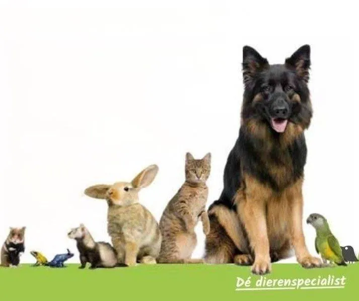 588267337_122105189451131269_8359524999650547739_n