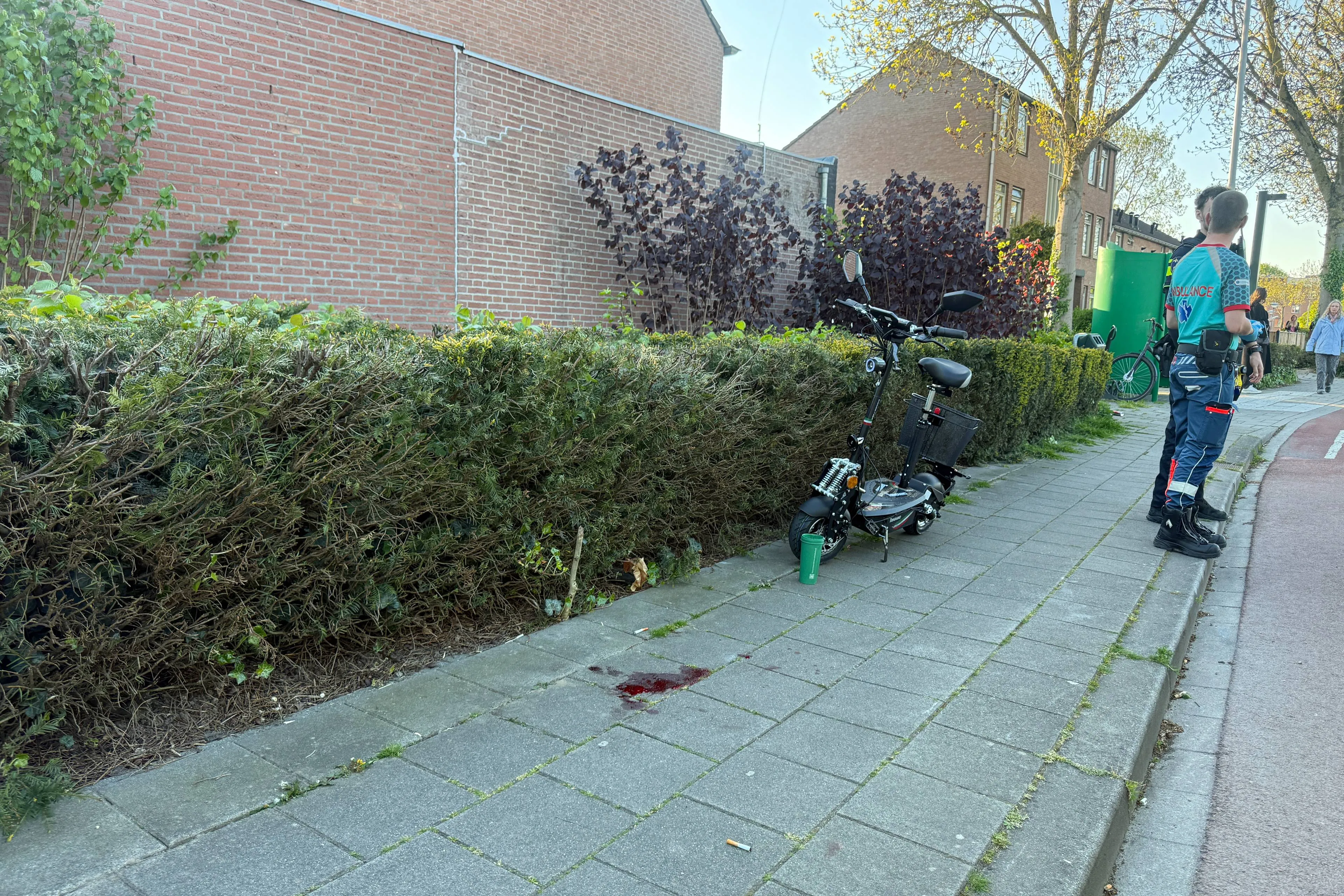 75ee1de8-3a52-45fb-bcd5-0e77253e8608 (1)