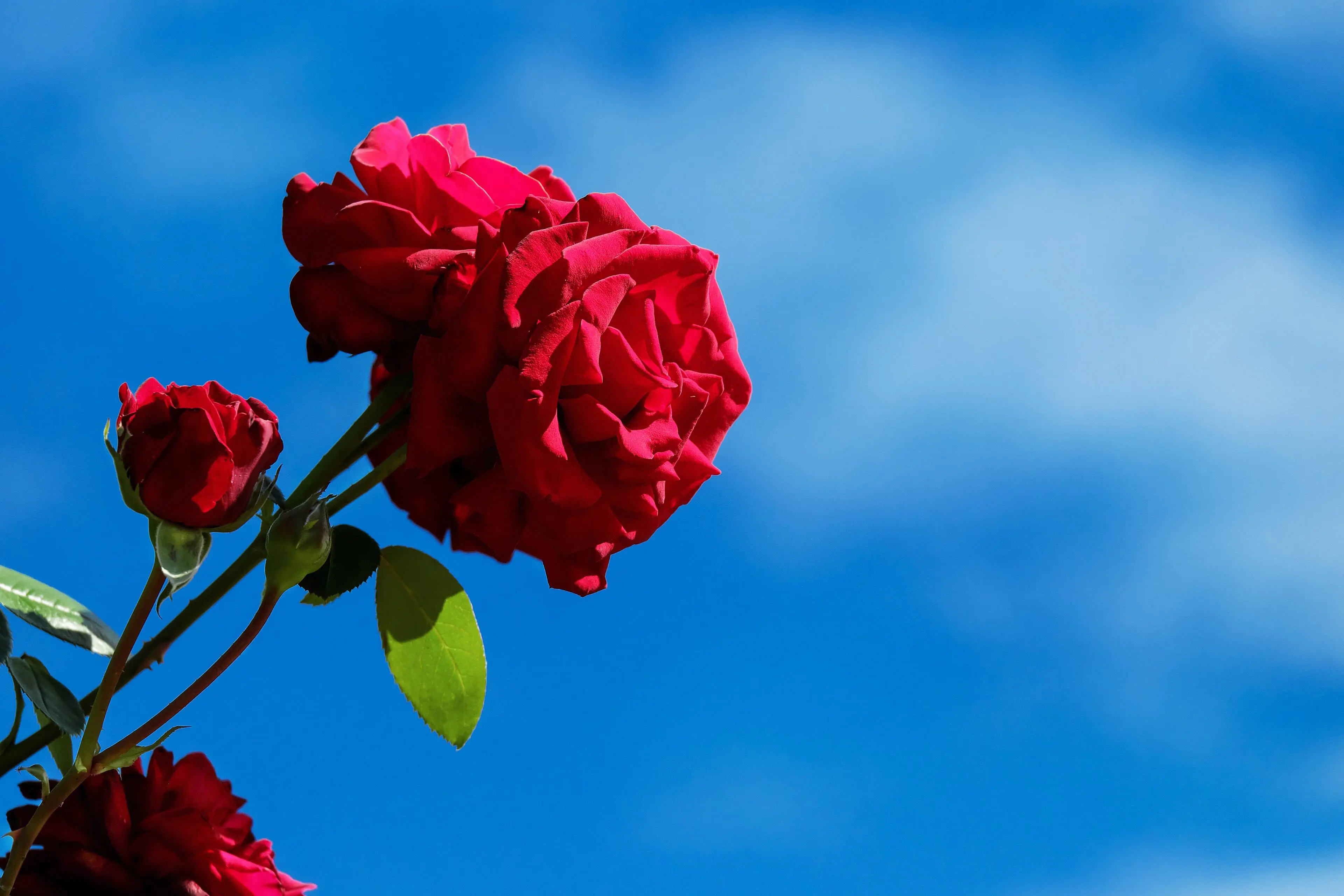 Blauwe lucht Couleur Pixabay