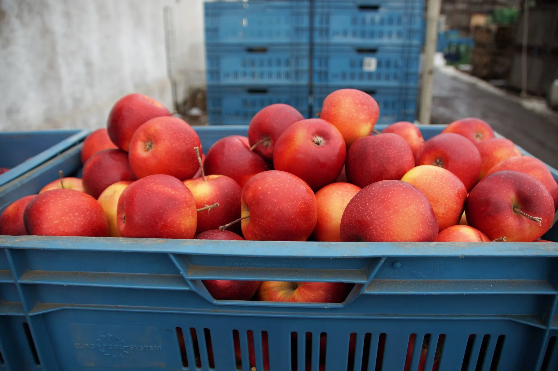apples 3961351 1920