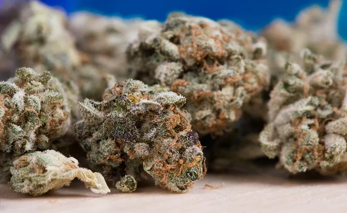 cannabis 2150543 960 720