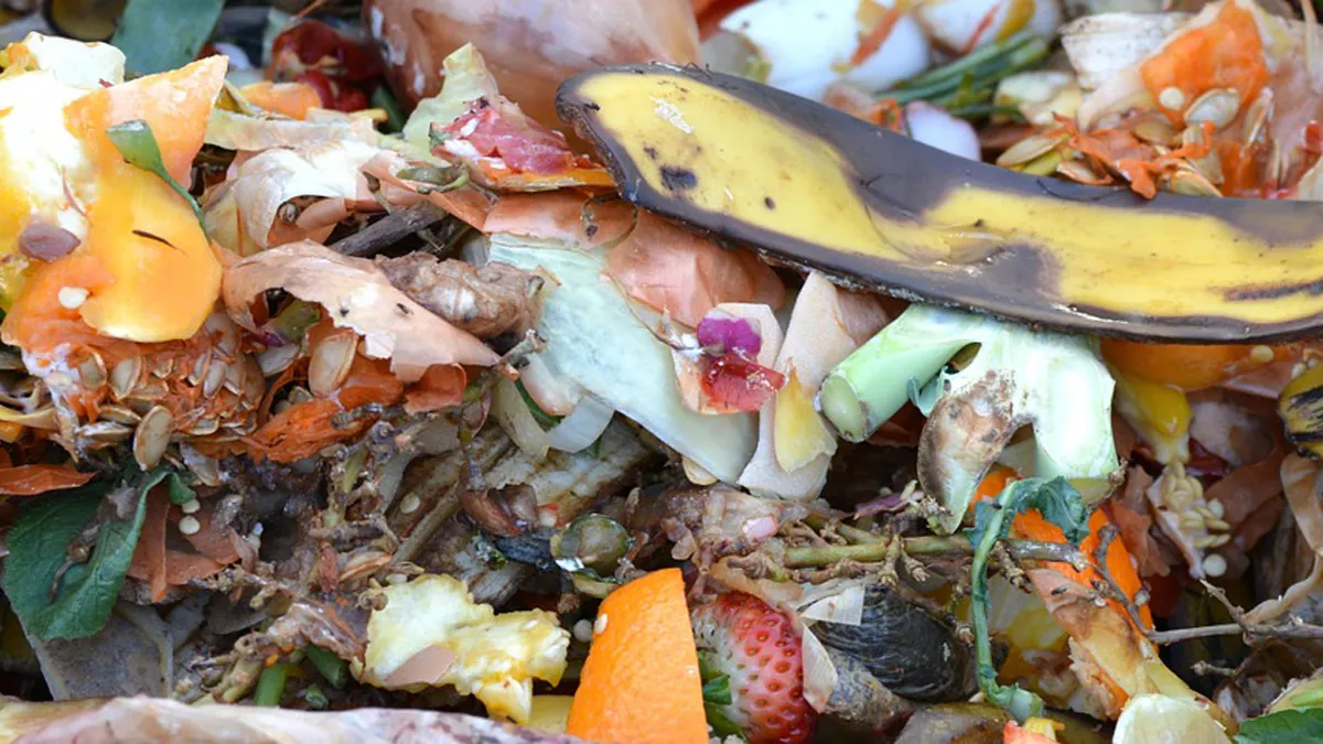 compost 709020 1280