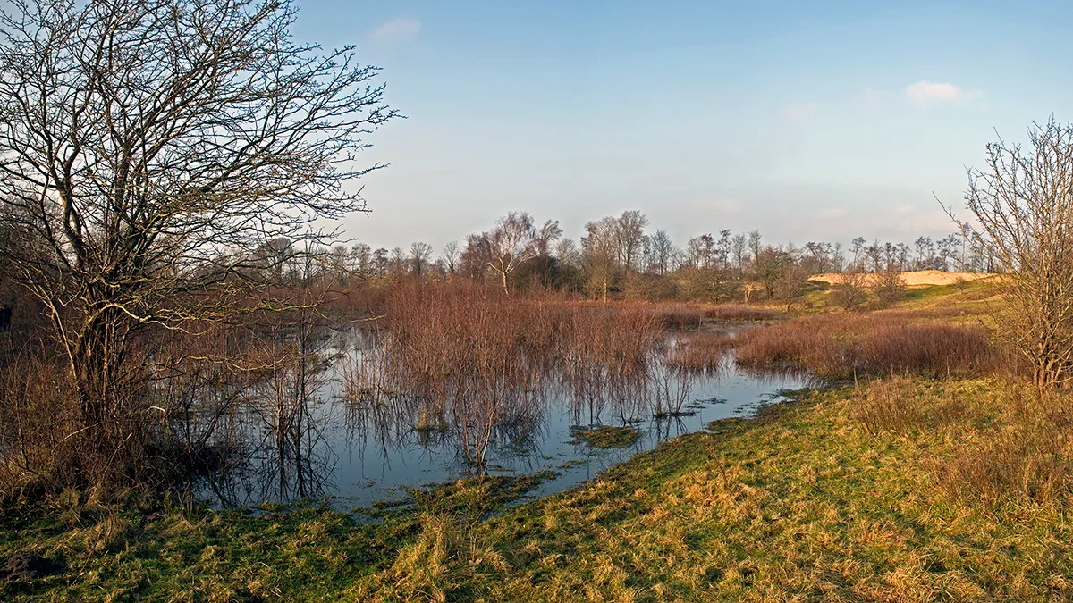 naamloos panorama1 duinen castricum cover