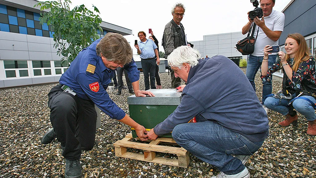 persfoto vrk bijen 02