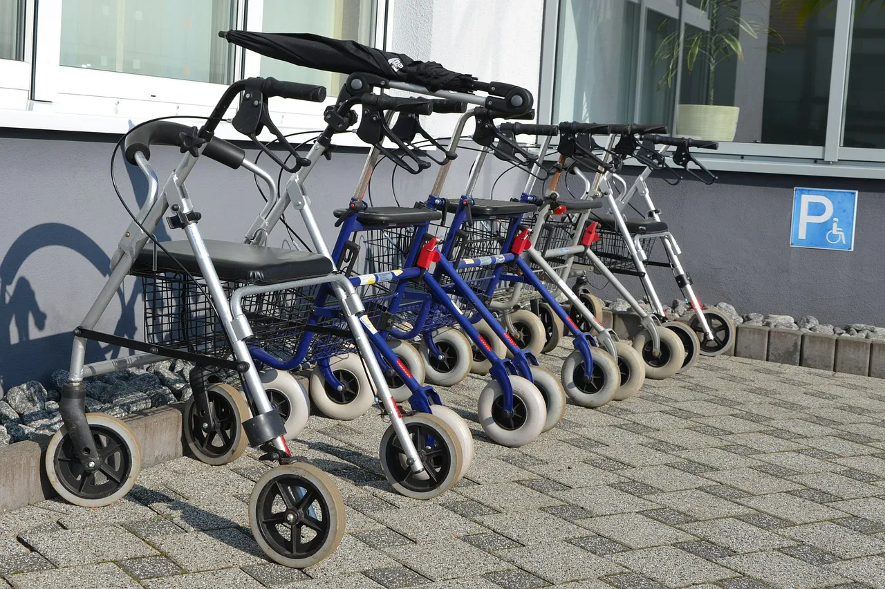 rollator 521891 1280
