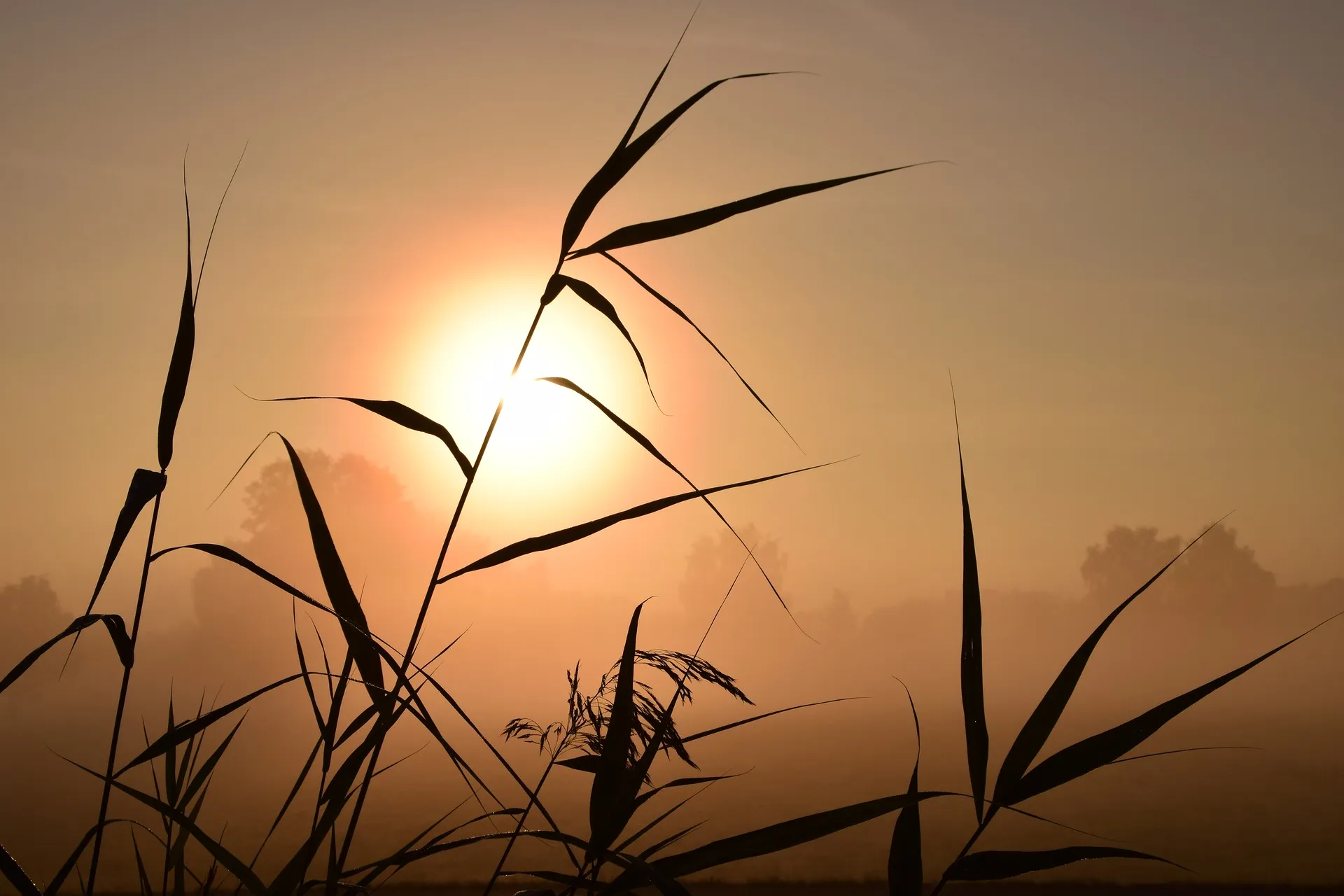 sunrise g4222f03bd 1920