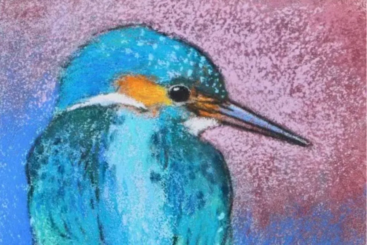 a ijsvogel kopieren