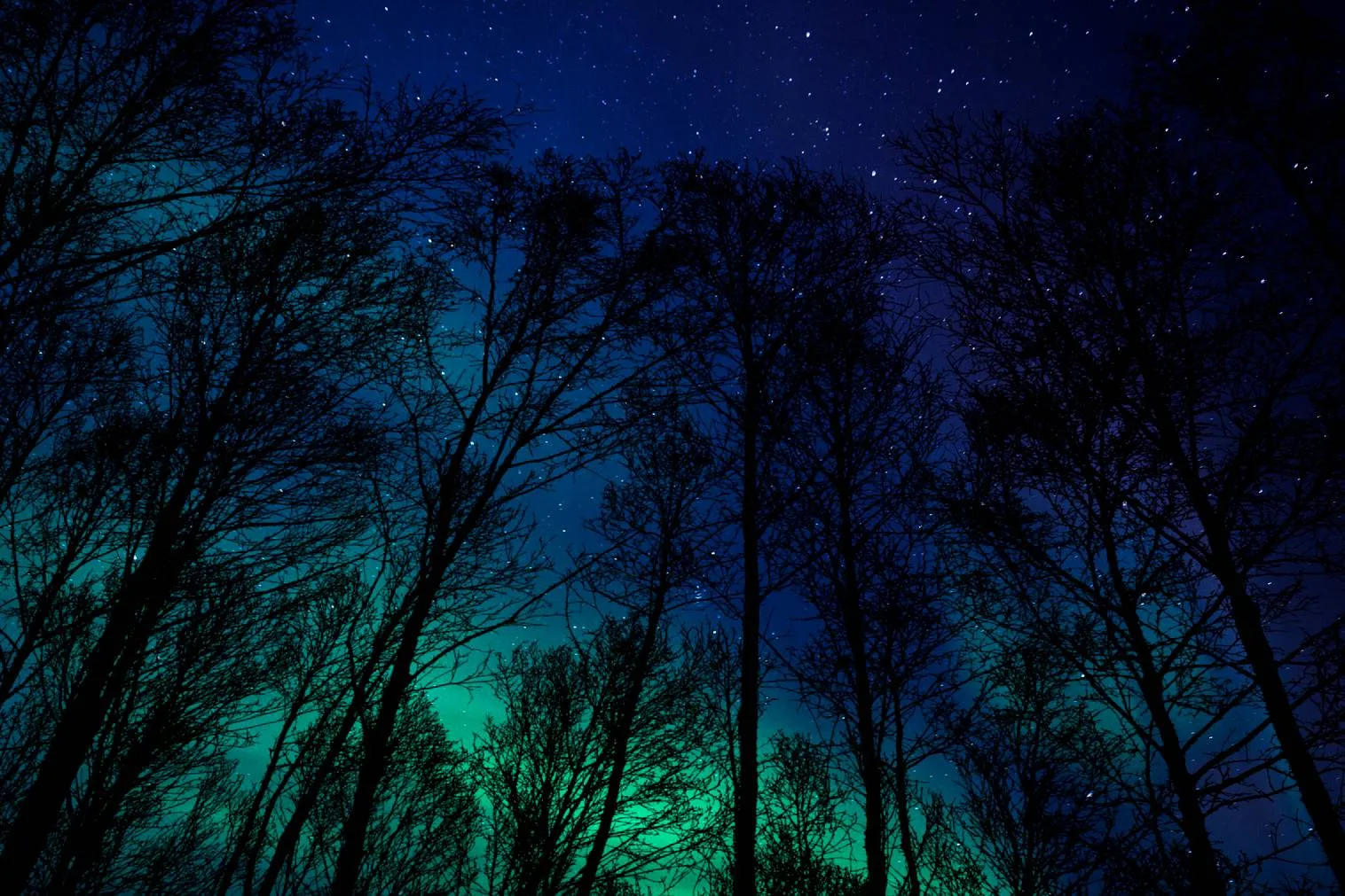 aurora-borealis-9449633_1920 kopie