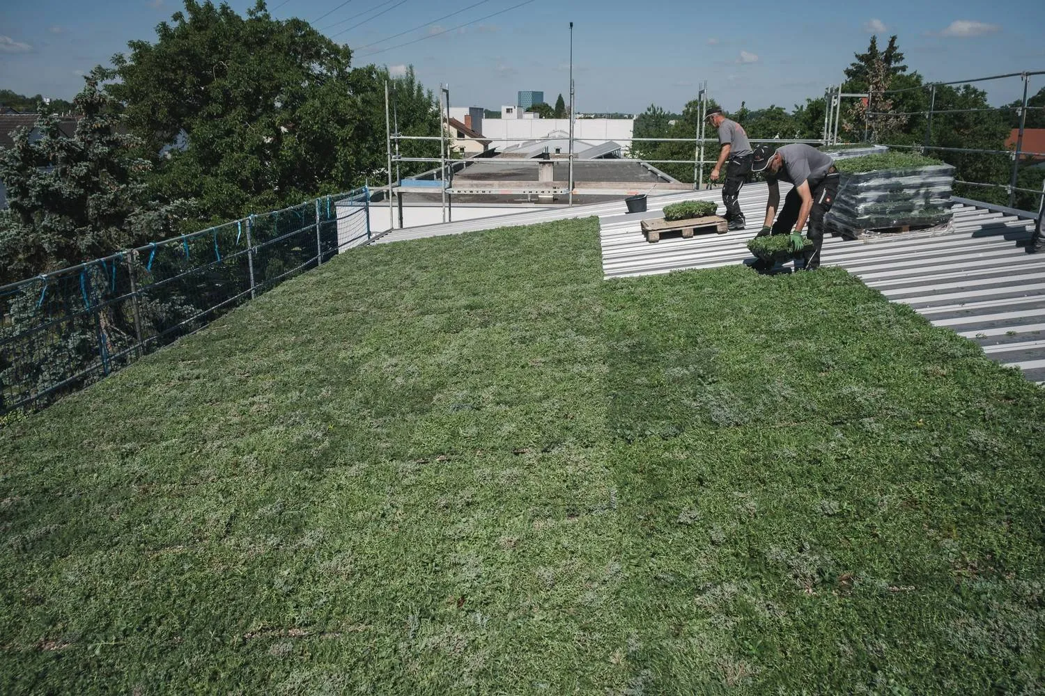 highres_sabprofildachbegruumlnung-76