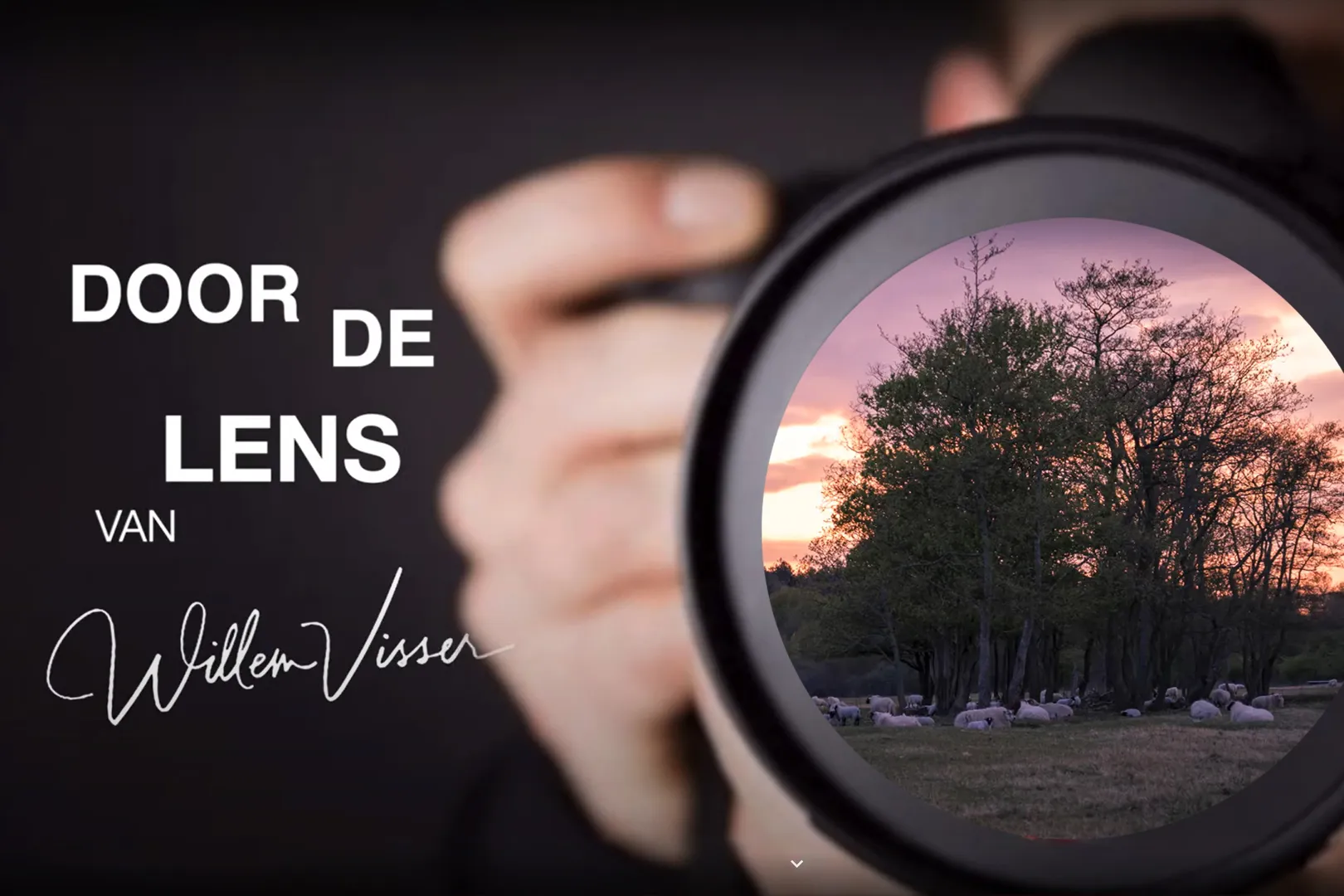 lens door 2